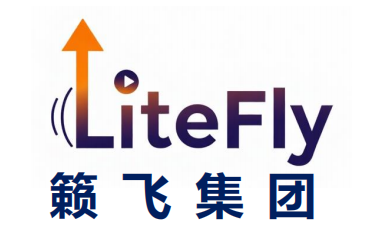 ​籁飞集团